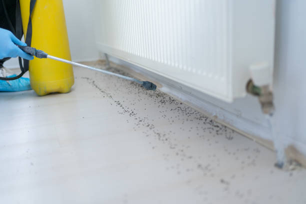 Fulton, TX Pest Control Company