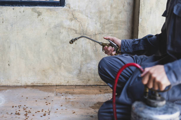 Best Residential Pest Control  in Fulton, TX